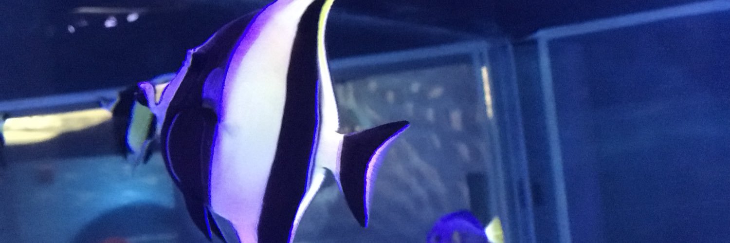 MannyTheFresh21's profile banner image
