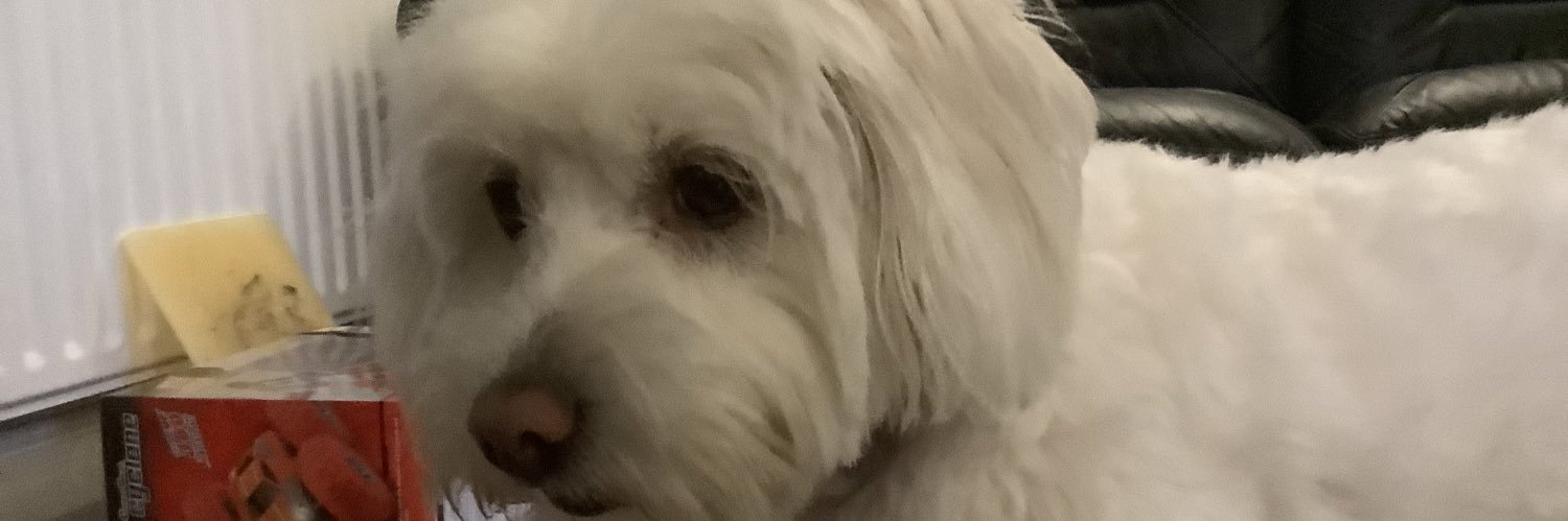 Dr Steve Knight banner