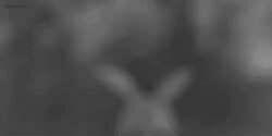 mlar_lar's profile banner image