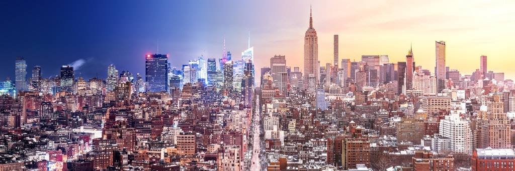 Shailin Thomas banner