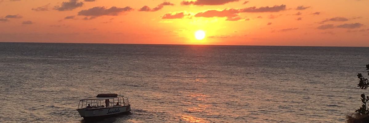 islandmassive_'s profile banner image