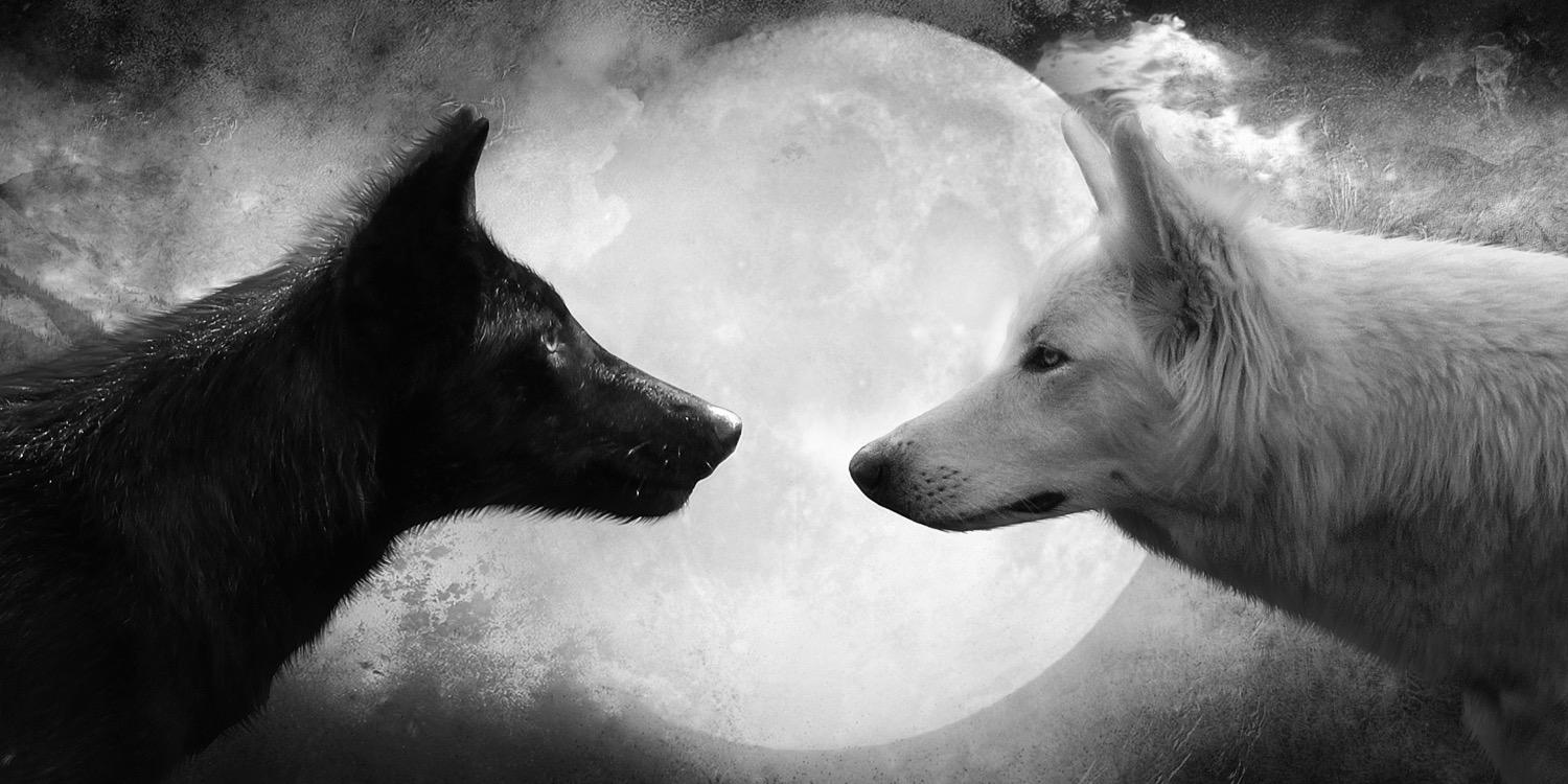 micawilsonn's profile banner image