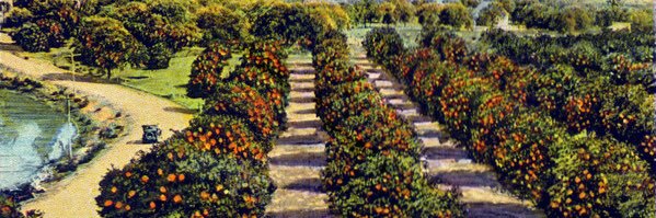 CitrusLINK's profile banner image