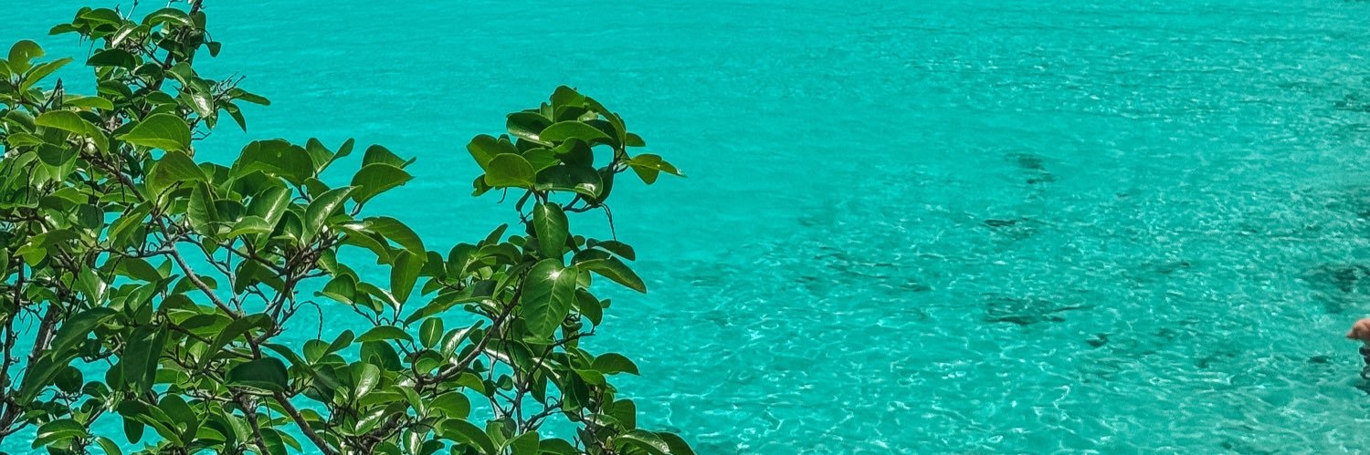 akhahon's profile banner image
