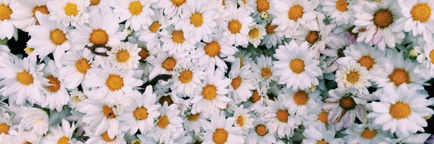 CaluMartinez84's profile banner image