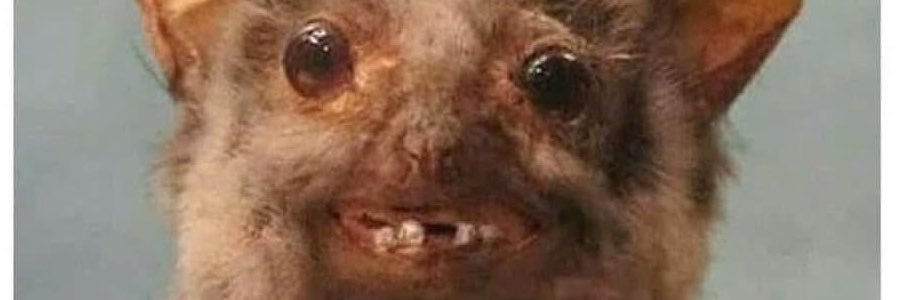 Chris_y25's profile banner image