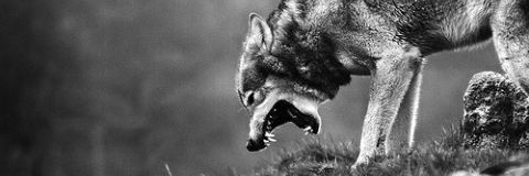 EvaSanchez14_'s profile banner image