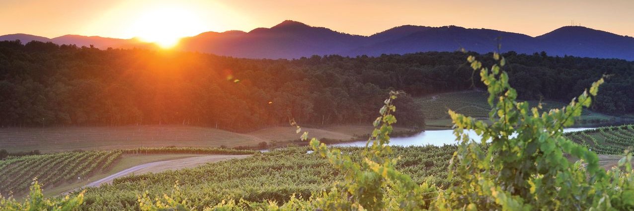 Biltmore Wines banner