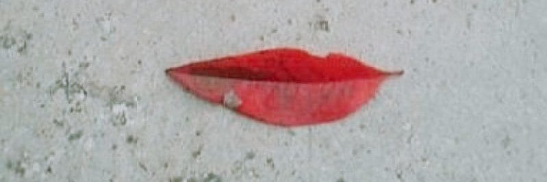 Fraska3's profile banner image