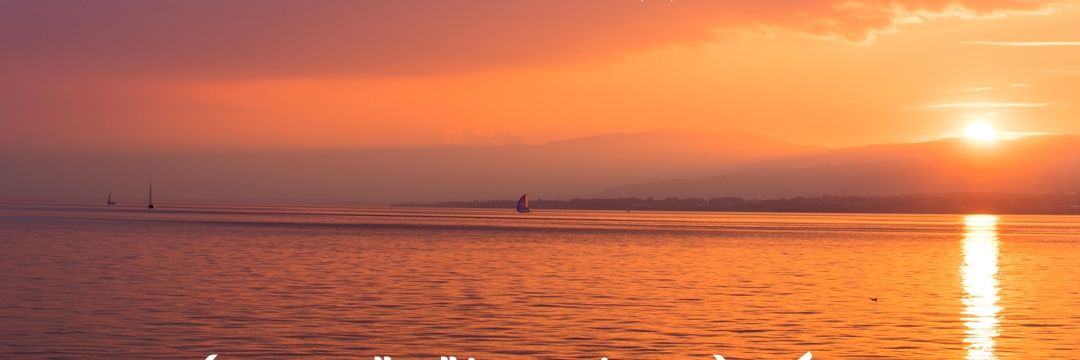 يوسف بن خالد الحسني banner