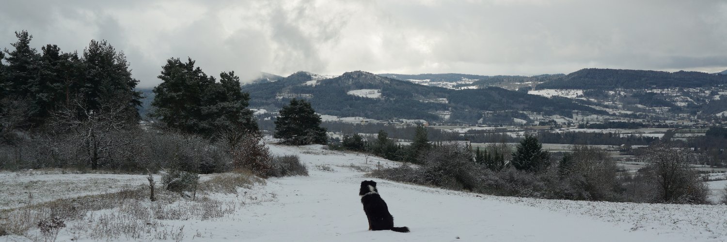 Tam0s4's profile banner image