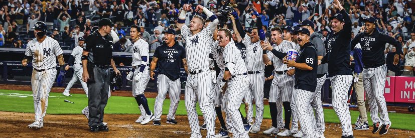 egrossman15's profile banner image