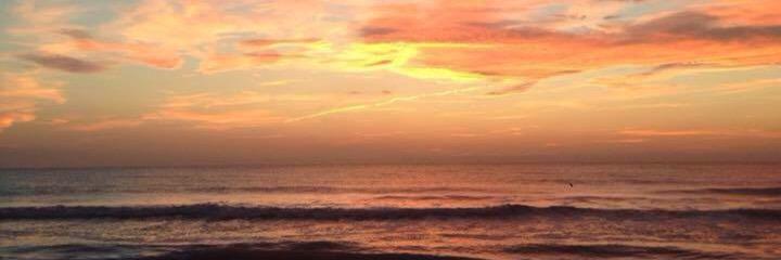 David Anderson banner