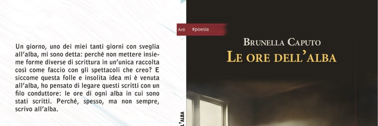 BrunellaCaputo's profile banner image