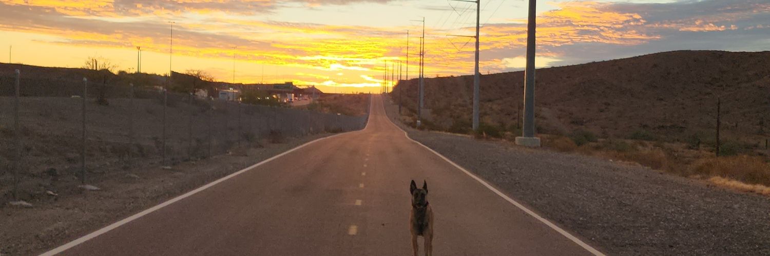 Moses Sanchez banner