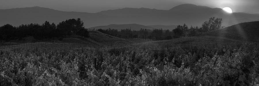 SFWineChef's profile banner image