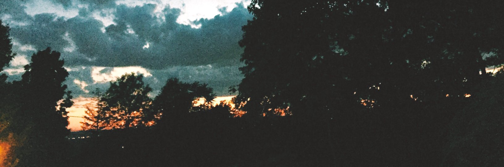 Lexi_Berls's profile banner image