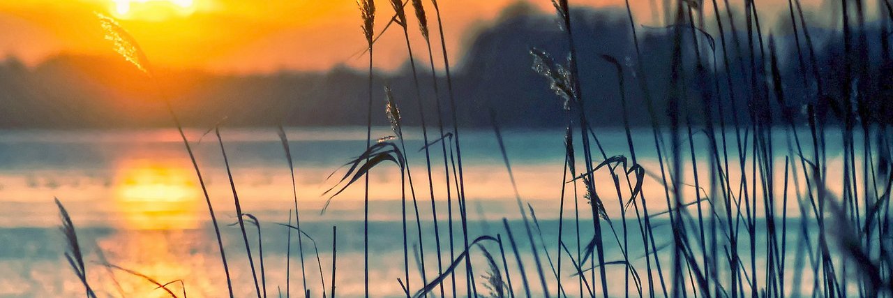 Twitter banner for @smoky2009