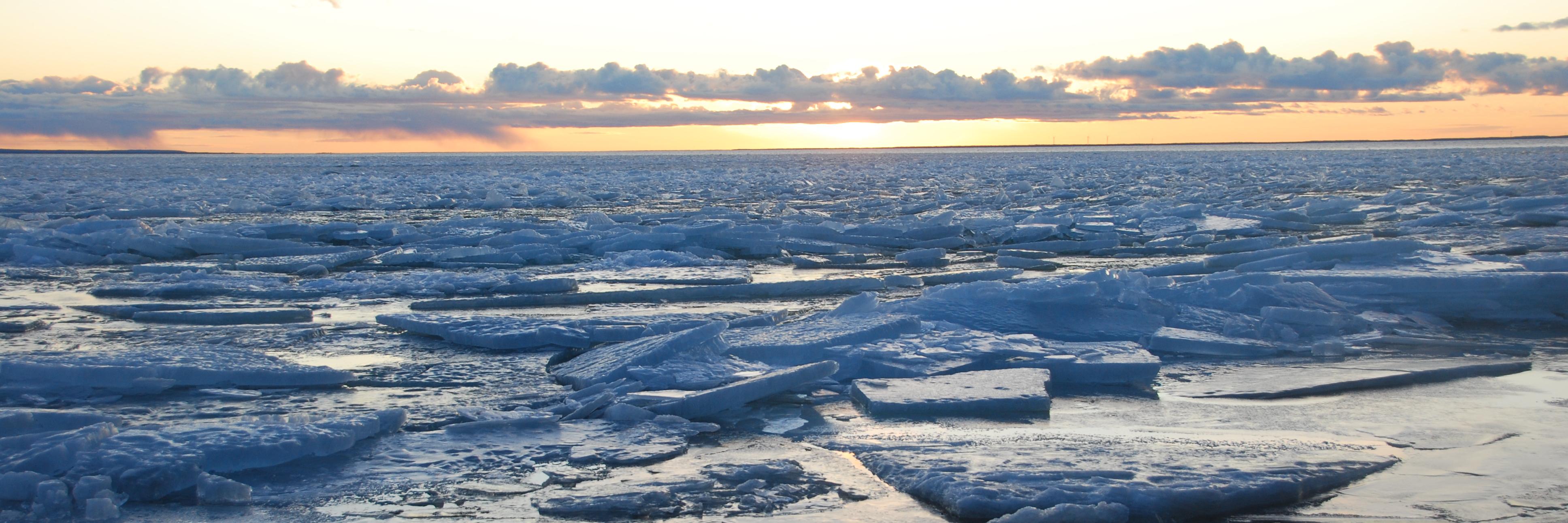 NordicNames's profile banner image