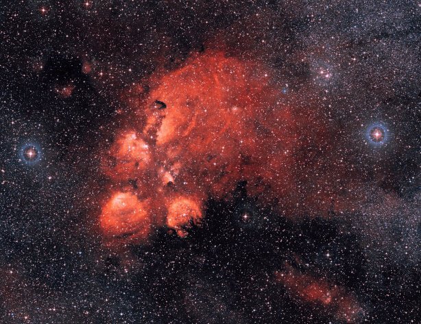 Eleonora Bianchi banner