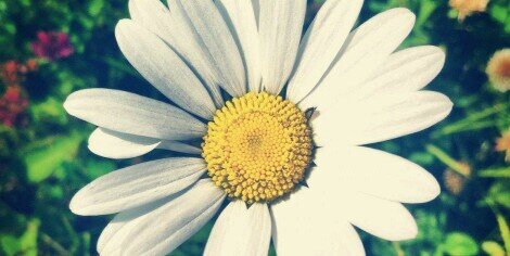 mariacheca4's profile banner image