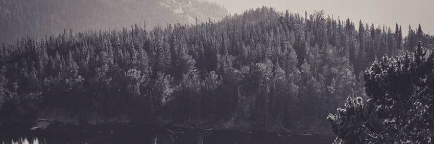 He Reads Truth banner