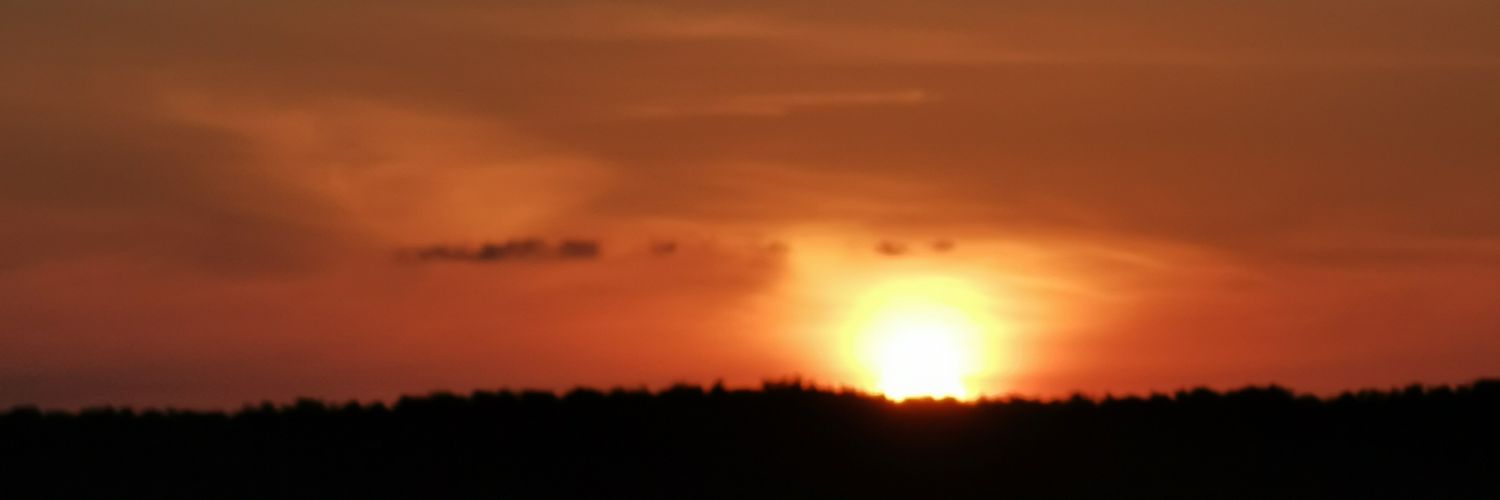 guilloarellan's profile banner image
