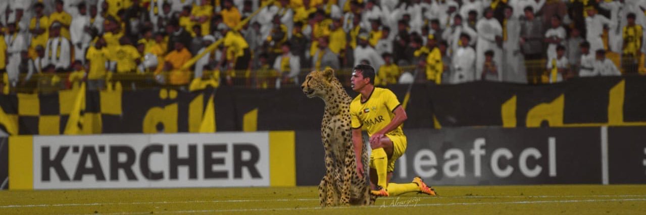 MohammedAlBeir's profile banner image