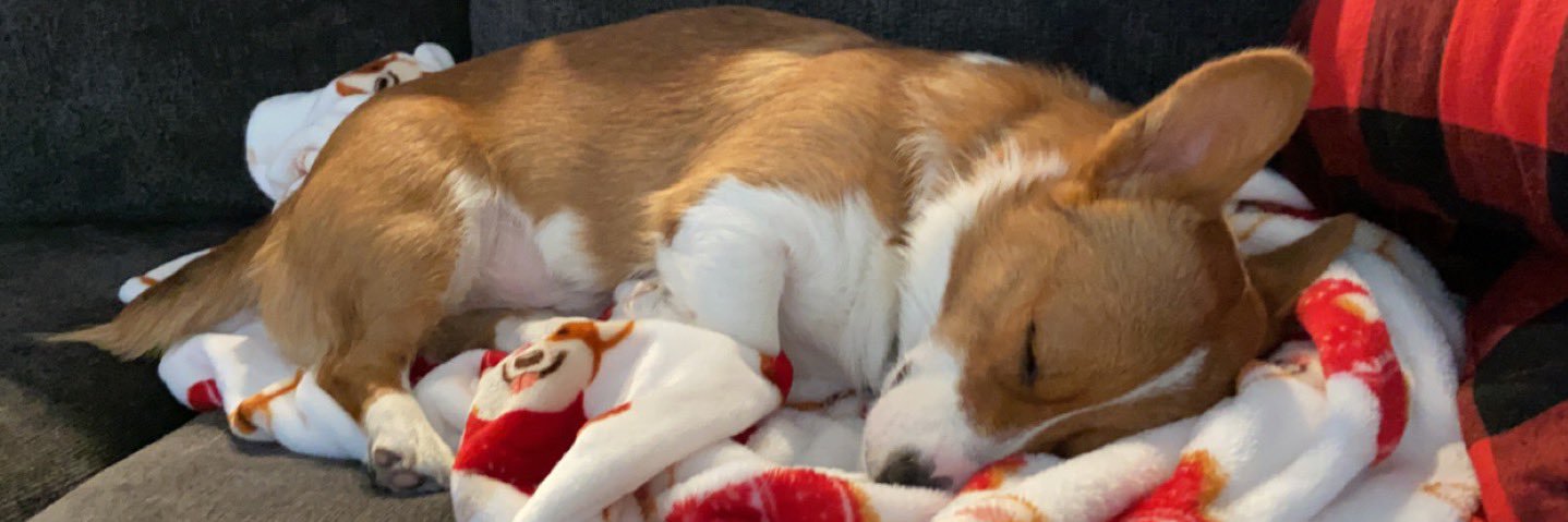 StephiLaux's profile banner image
