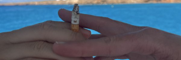 brandon_onbrand Profile Banner