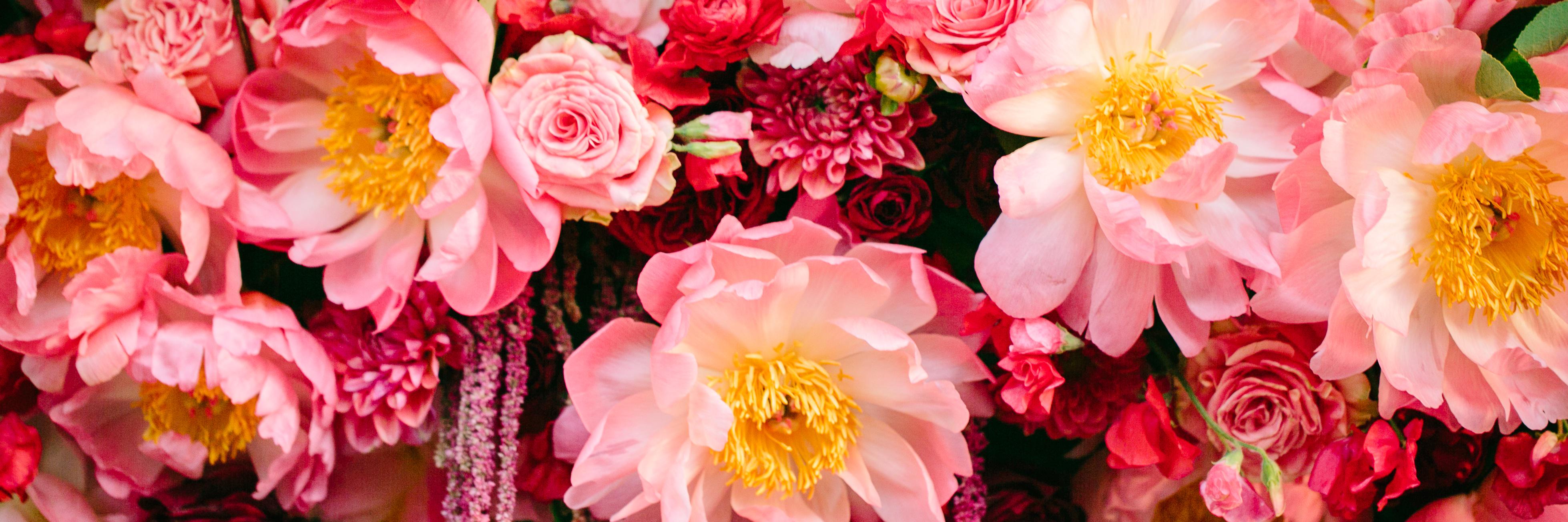 NoonansDesigns's profile banner image