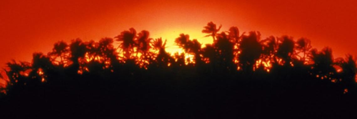 Ldpfoster's profile banner image