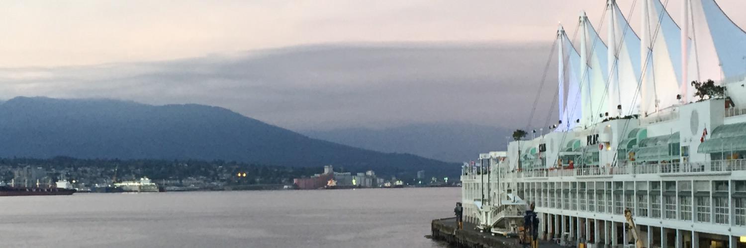 Cristina Peter banner