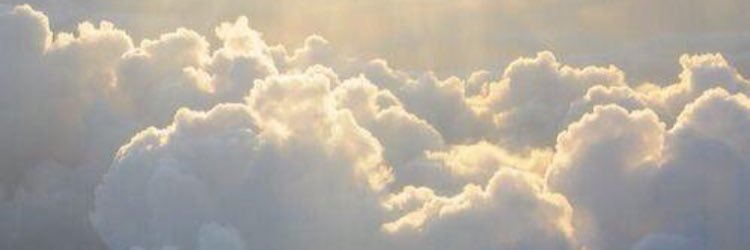 Noraalrayes2's profile banner image