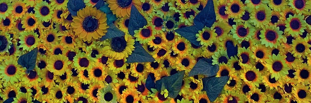 xxJilliBean's profile banner image