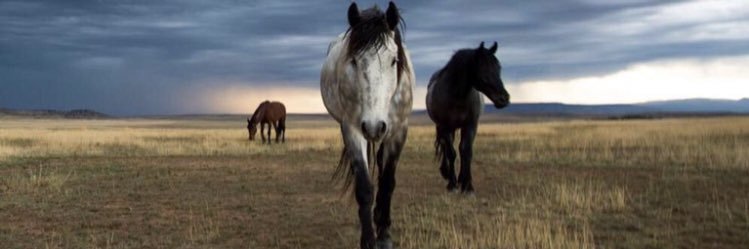 Tannergray96's profile banner image