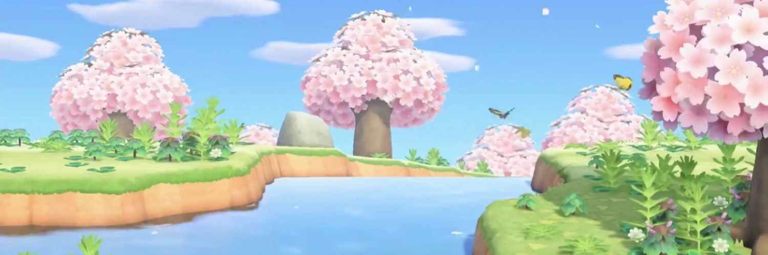 MacaronDou's profile banner image