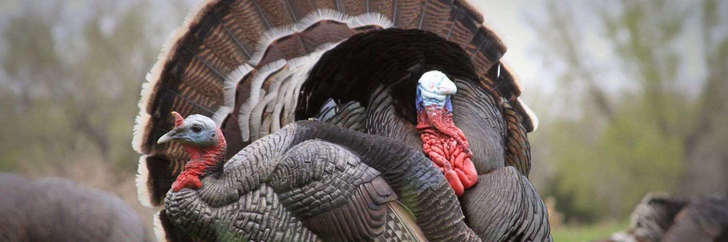 Dave Smith Decoys banner