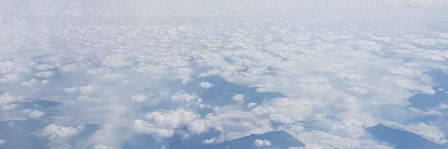 Direktor Marjanović banner