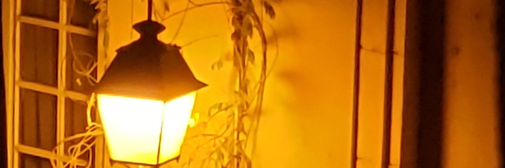 ballmannsc's profile banner image