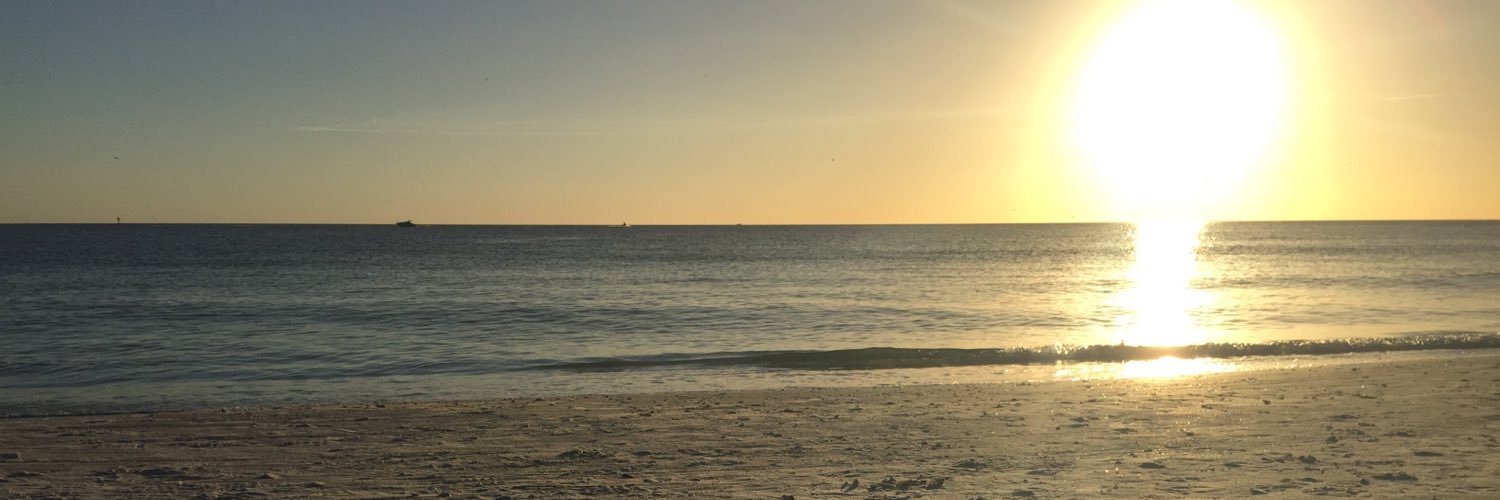 BlueeBullet's profile banner image