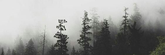 EvveLand's profile banner image
