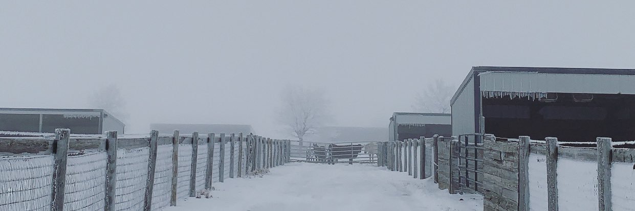 TylerHumphreyLM's profile banner image