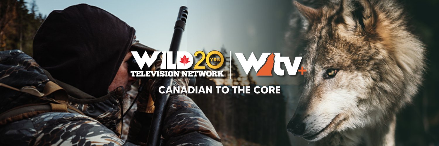 Wild Television Network banner