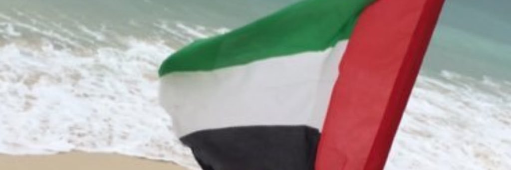 🦋 banner