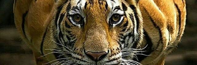 Isick007's profile banner image