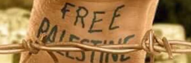 Freesurf 🇩🇿 🇵🇸 🍉 🐢🔻 banner