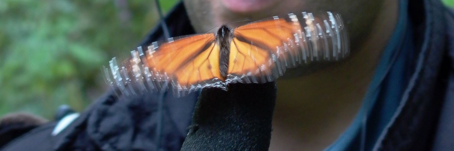 markaburman's profile banner image
