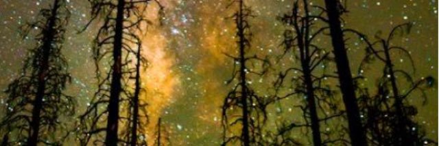 sav_gracee's profile banner image