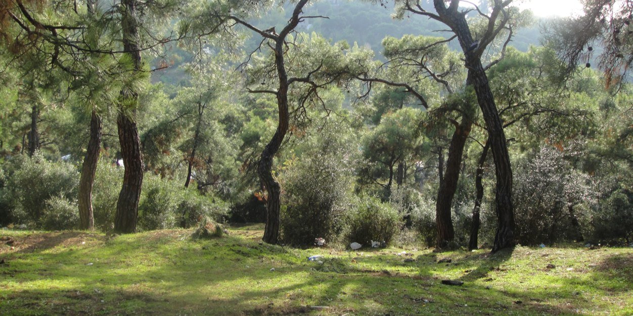 aas_l's profile banner image